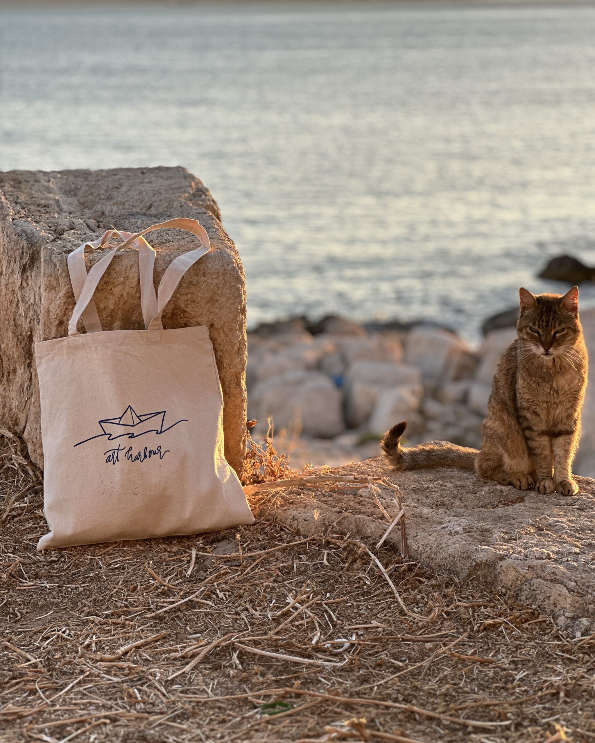 "ΛΙΜΑΝΙ" Tote Bag